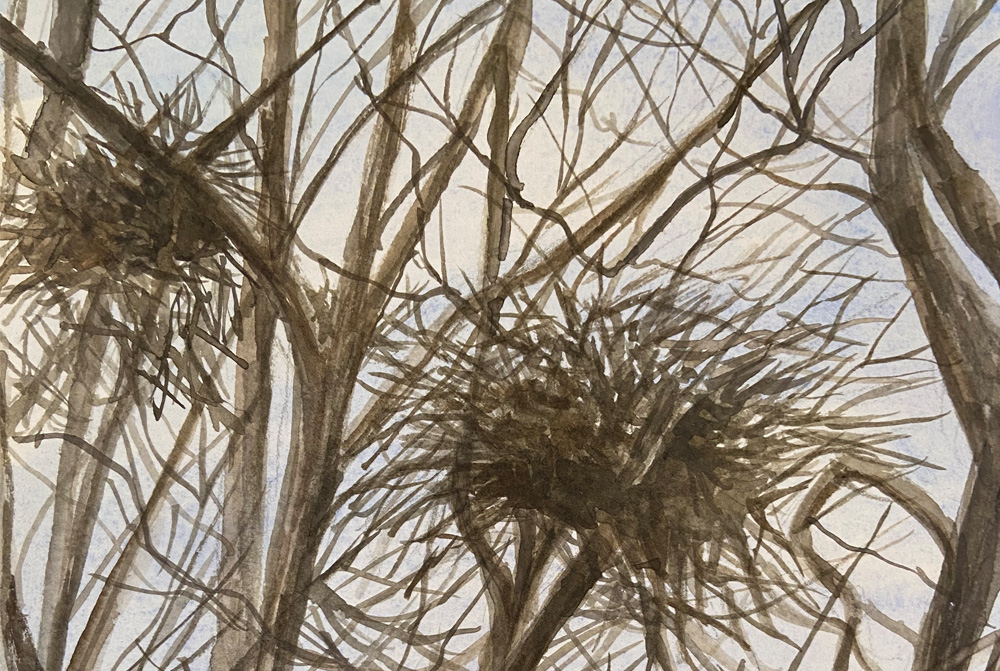 painting of weeds