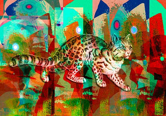 Image of a cat walking through a surrealistic landscape