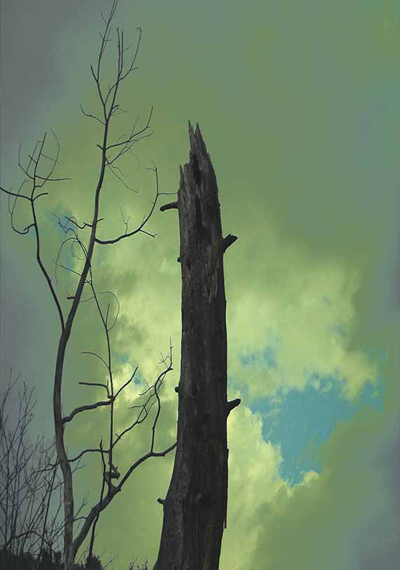 Painting of a broken tree